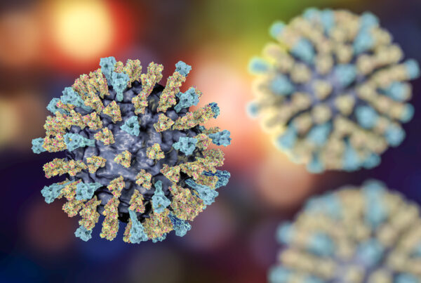 3D illustration of the measles virus, showing its detailed structure with surface proteins.